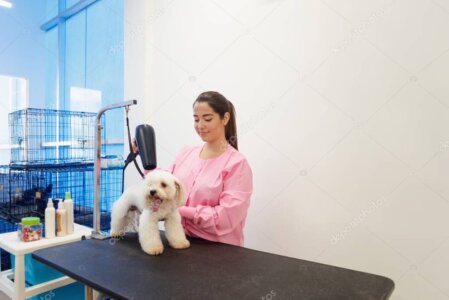 Interno del pet shop Superdog con cane toelettato felice