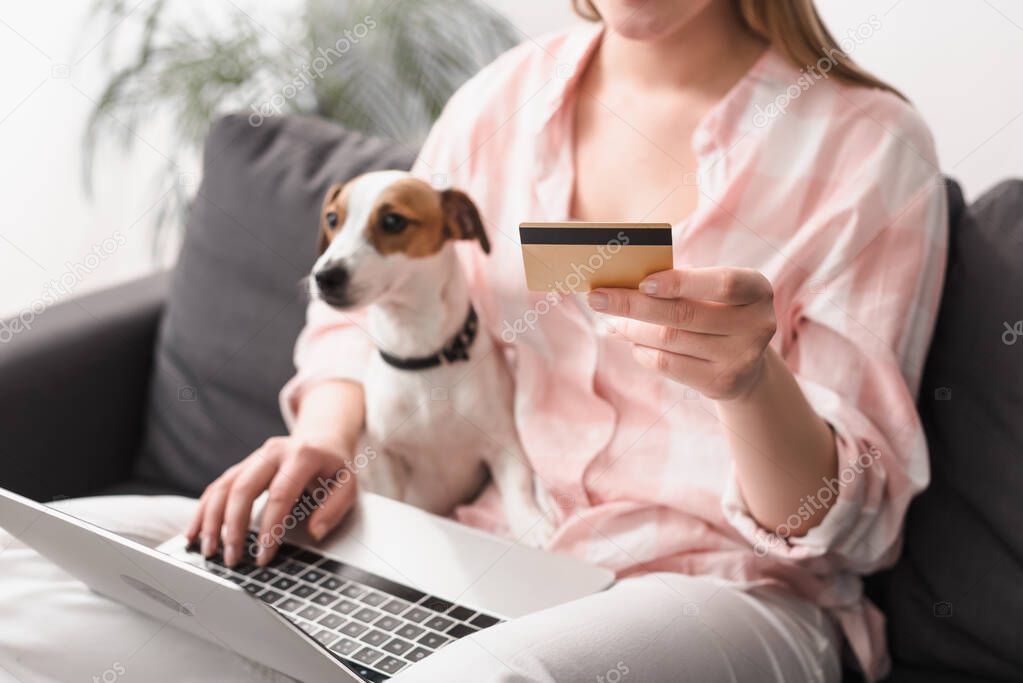 Ingresso di un negozio per animali con insegna