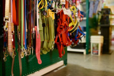 Interno di un negozio per animali con scaffali di prodotti