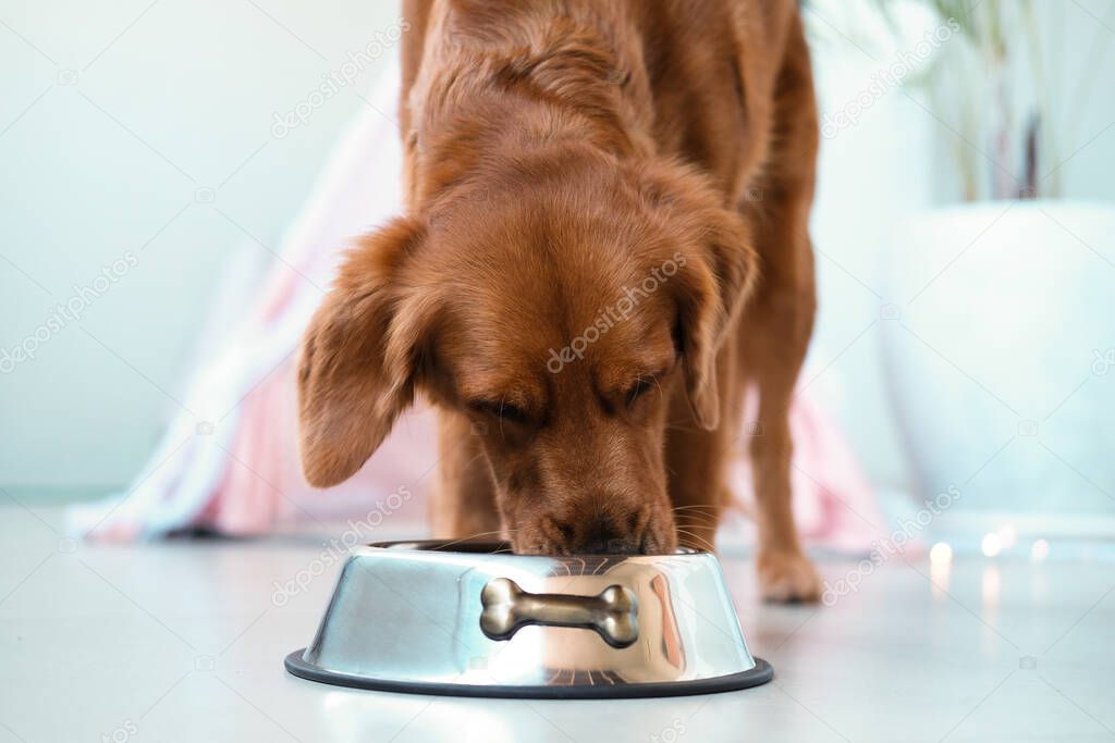 Sacchi di mangime caricati per una consegna a domicilio