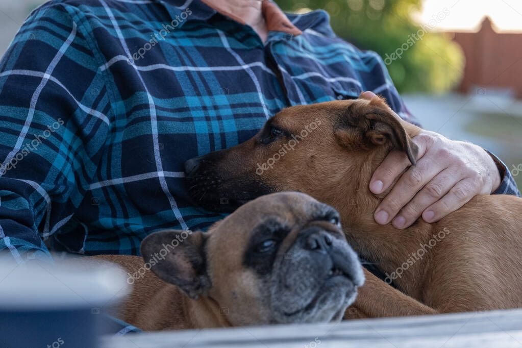 Cliente che accarezza il proprio cane davanti agli scaffali di un pet shop
