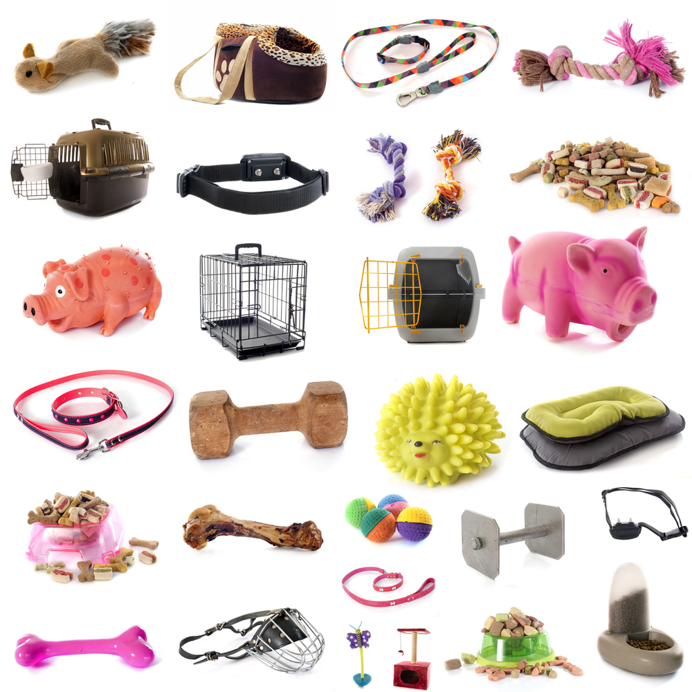 Accessori per cani e gatti esposti sugli scaffali di un negozio