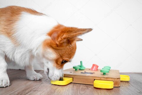 Gioco interattivo per cani da riempire con snack